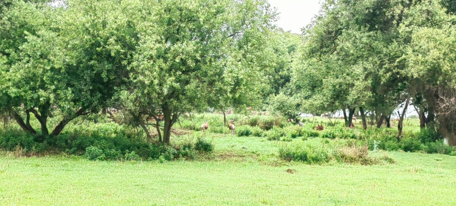 4 Bedroom Property for Sale in Potchefstroom Rural North West